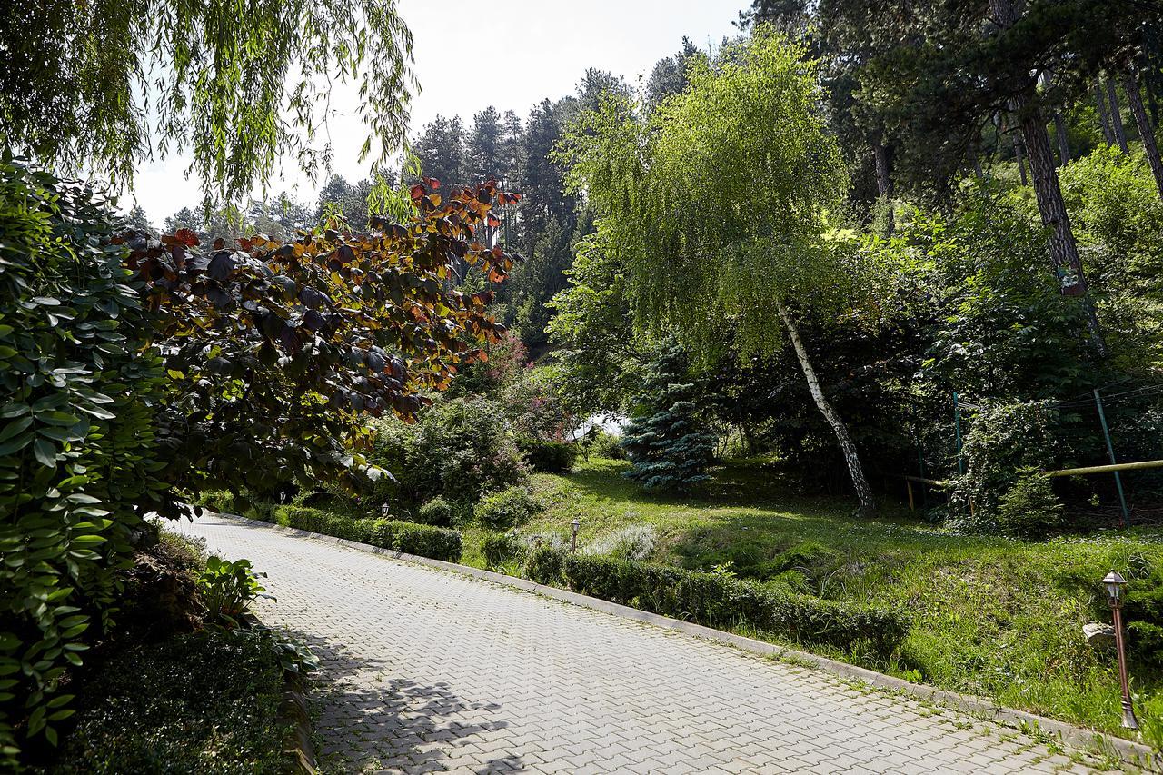 Готель Bellavista Brasov Сачеле Екстер'єр фото